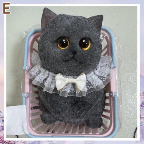 Chubby Cat Squishies Toys, Cute Cat Squeeze Toys, Soft Cat Fidget Toys S2T8 - Picture 23 of 30