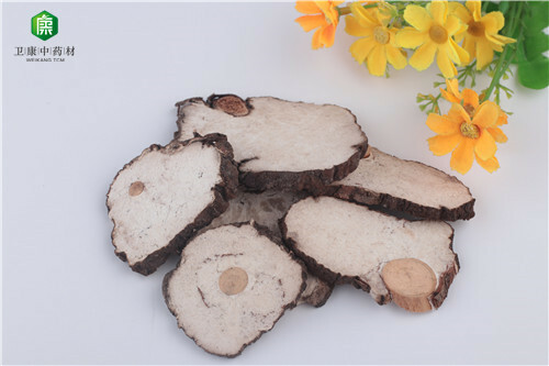 100g Quality Dry Herb 茯神 Sclerotium Poriae Cocos, Poria Cocos! - Picture 2 of 2
