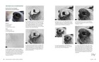 Bild 12 von 12