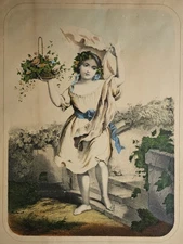 Antique Hand-Coloured Lithograph c.1850 – Flowers / Blumen / Fleurs