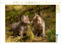 Calvendo Puzzle A Photo From The Calendar: The Young Foxes | 1000 Pieces, Finish