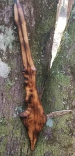 Hand Carved Pecan Spiked Gunstock Warclub