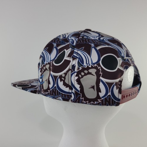 Colorado Avalanche Reverse Retro Zephyr Foot Snapback Hat Exclusive Gear Flat Bi - Picture 6 of 12