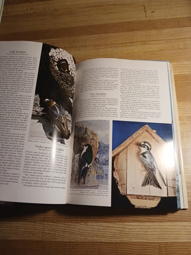 Song And Garden Birds Of North America National Geographic Society - Picture 15 of 21