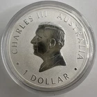 2024 Australian Silver Kangaroo 1 oz — photo from another recent sale