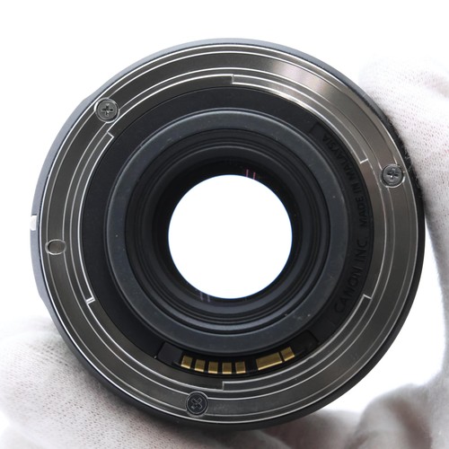 Canon EF-S 35mm F/2.8 Macro IS STM #81 - Picture 6 of 12