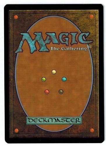 MTG 1x Zendikar common land FOIL Japanese LP Forest #249 ships w/ tracking - Picture 2 of 2