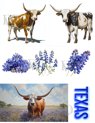 Texas Longhorns & Bluebonnets Collage Zubehör Sammelalbum Junk Journal Karten - Bild 1 von 2