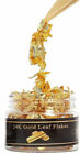 Bild 6 von 6