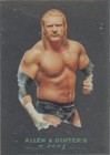 2008 Topps WWE Heritage Chrome - Triple H #4
