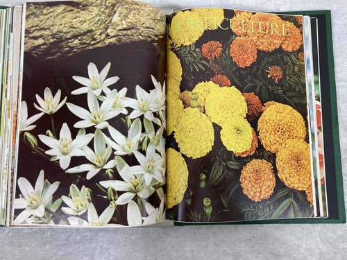 Vtg Horticulture Magazine Lot of 15 Gardening 1968 1969 1970 With Binder Book - Bild 17 von 24