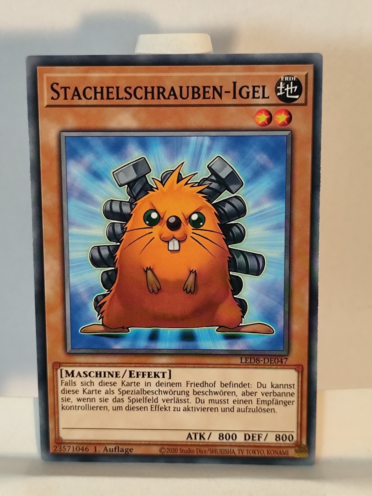 Bild 63 von 81