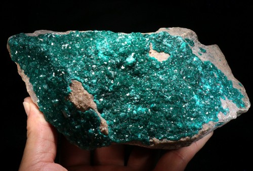 Large 7.25" Bright, Emerald Green Dioptase Crystals on Matrix, Congo! DP367 - Picture 2 of 8
