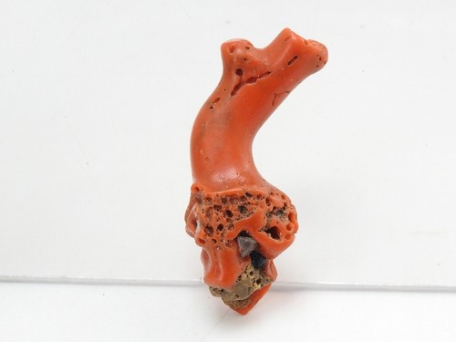 Natural Italian Red Coral Polished Rough Stick Gemstone For Jewelry - Picture 4 of 6