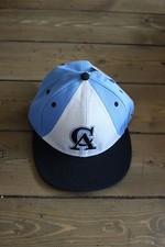 NWT Baby Blue CA Cats Hat