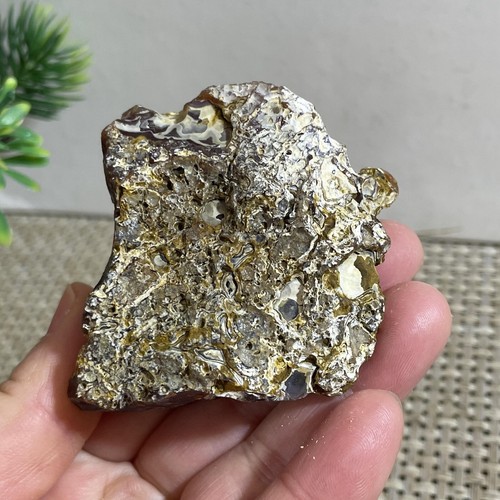 Bonsai Suiseki natural 95 g - ojos de ágata Gobi natural piedra - raro impresionante - Imagen 13 de 14