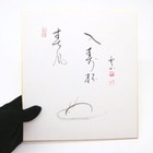 Foto 10 di 12
