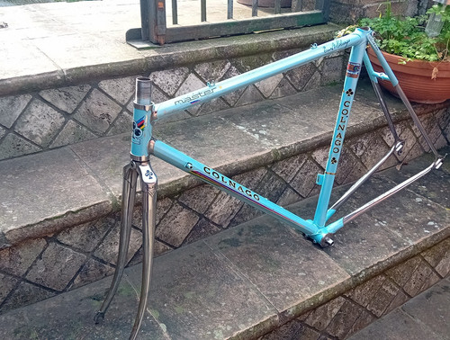 Colnago Master 1984 Primo Tipo 50 X 53 Telaio E Forcella L'Eroica Campagnolo - Bild 20 von 24