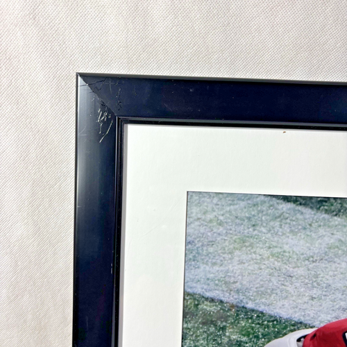 Danny Amendola Super Bowl LI Champs Autographed 16 x 20 Framed Photo Fanatics - Picture 17 of 24