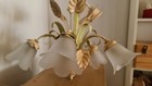 Bild 6 von 6