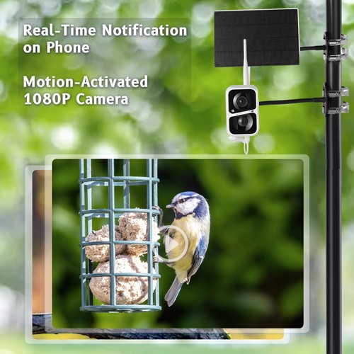 Smart Bird Feeder with Camera, 30-Day Free Identify of 10000 Birds, 360 ° Adj... - Picture 3 of 7