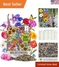 Vibrant 14+ Wildflower Seed Mix - Butterfly Friendly & GMO-Free, 2 Ounce 263.92 per gallon