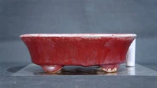 Kouyou Tokoname Bonsai Pot 6.9" Red Cinnabar Glazed Rectangular Unused Japan