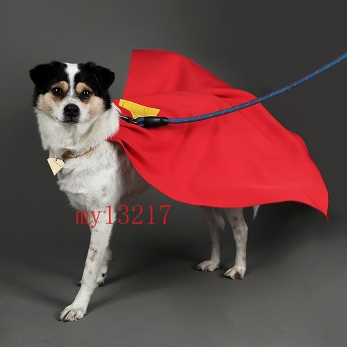 Hund Superheld Cape rot Haustier Kostüm Cosplay Outfit Tier Mode Accessoire süß - Bild 3 von 13