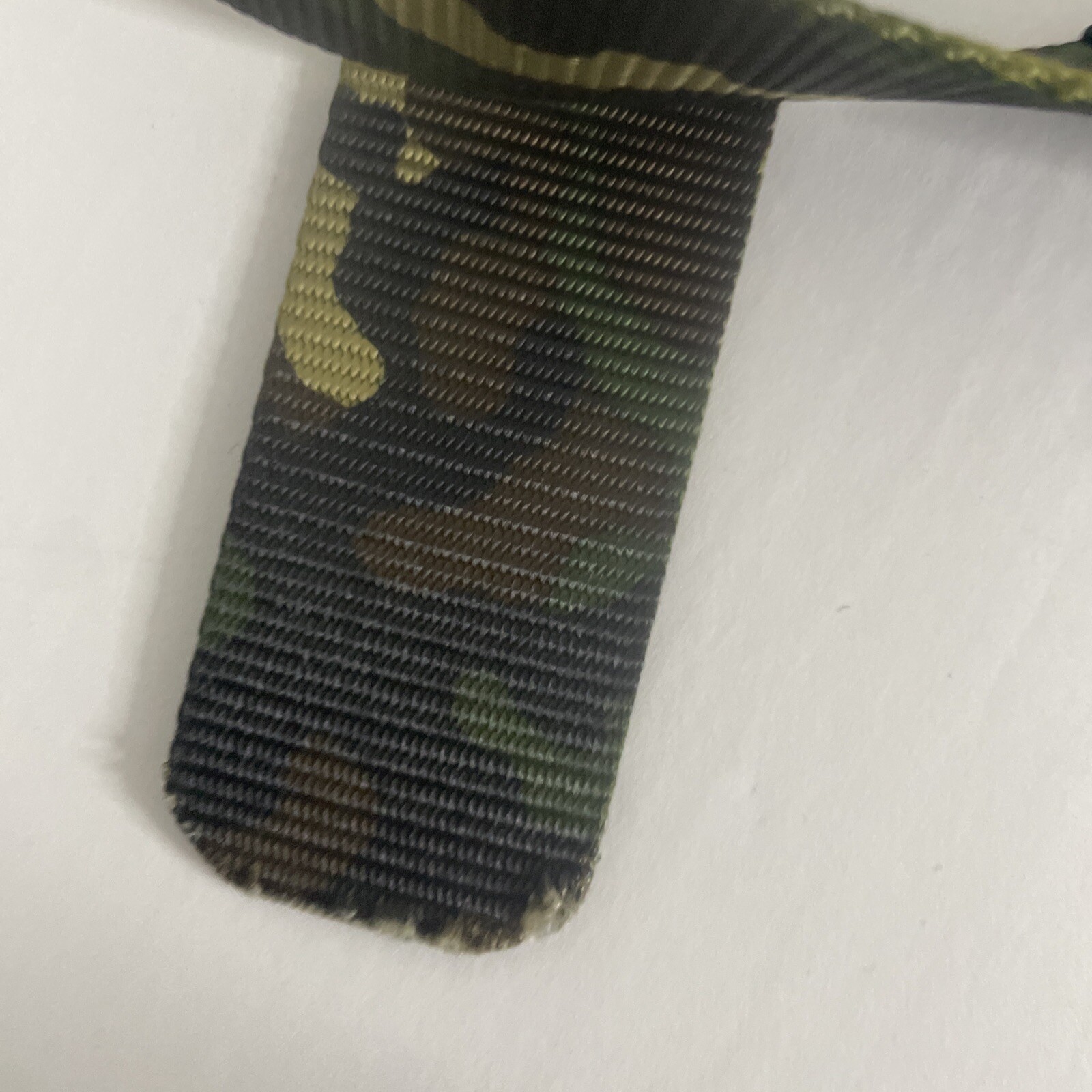 Picture 12 of 14