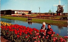 Veldheers Tulip Gardens Holland Michigan Scenic Flowers Chrome Postcard