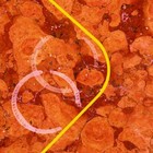 Foto 4 di 4