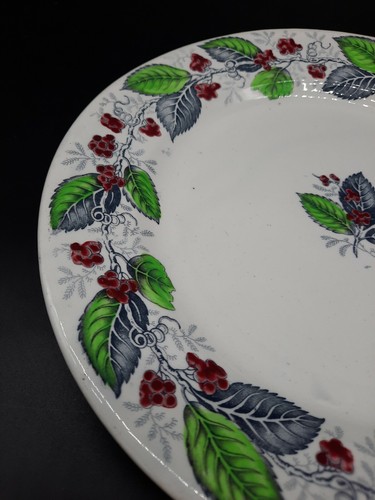 Antiker J. Clementson Ironstone Holzbine Muster 9 5/8" Essteller/Ex-Zustand - Bild 4 von 7
