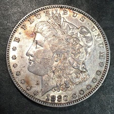 1880 Morgan Silver Dollar - High Quality Scans #Q586
