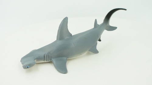 Tiburón Hammerhead, pez de goma, figura de juguete realista, modelo 7" CH165 BB111 - Vídeo 1 de 1