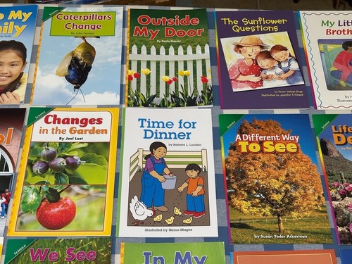 Lot 32 Leveled Reader ELD Reading Street Concept Literacy Homeschool Lv 1 Social - Picture 4 of 12