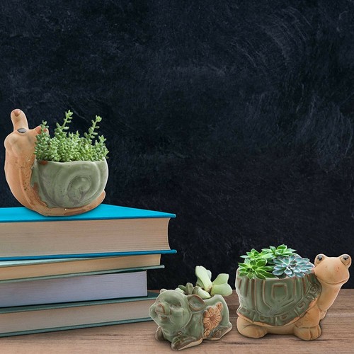 Animal Flower Succulent Planter 6 Pcs Ceramic Mini Owl Plant Pot Cute Home Docor - Picture 5 of 6