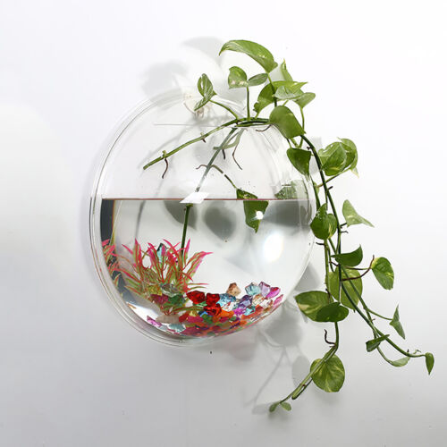 Fish Tank Solid Handmade Household Wall Mounted Fish Vase Transparent - Picture 1 of 13