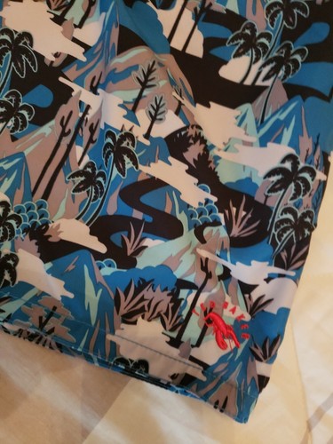 TED BAKER NEW MEN'S MULTICOLOR BOARD SHORTS SIZE 5 - XL - Picture 3 of 11