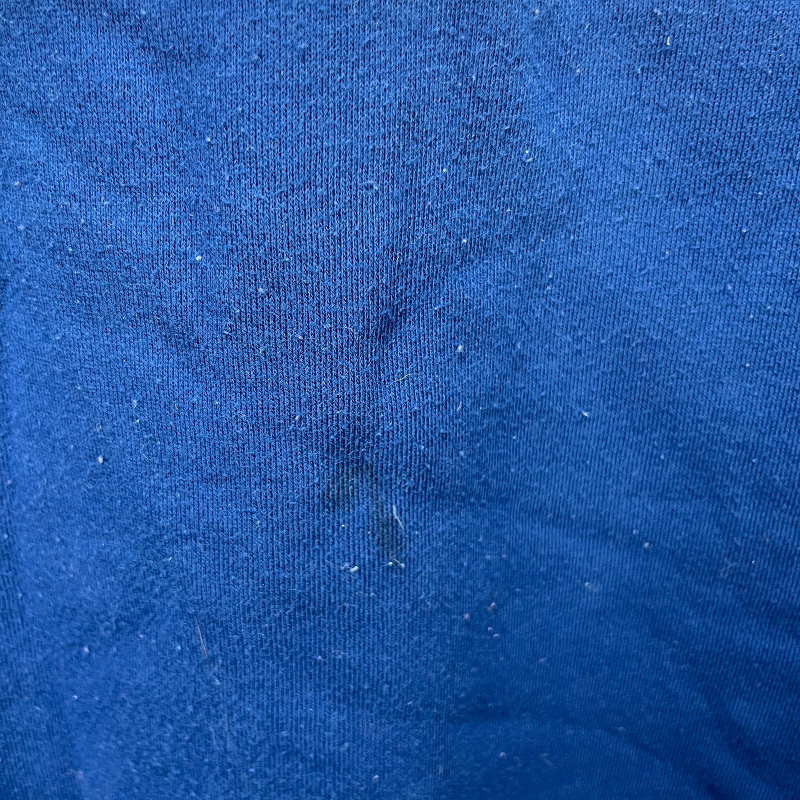 Picture 5 of 11