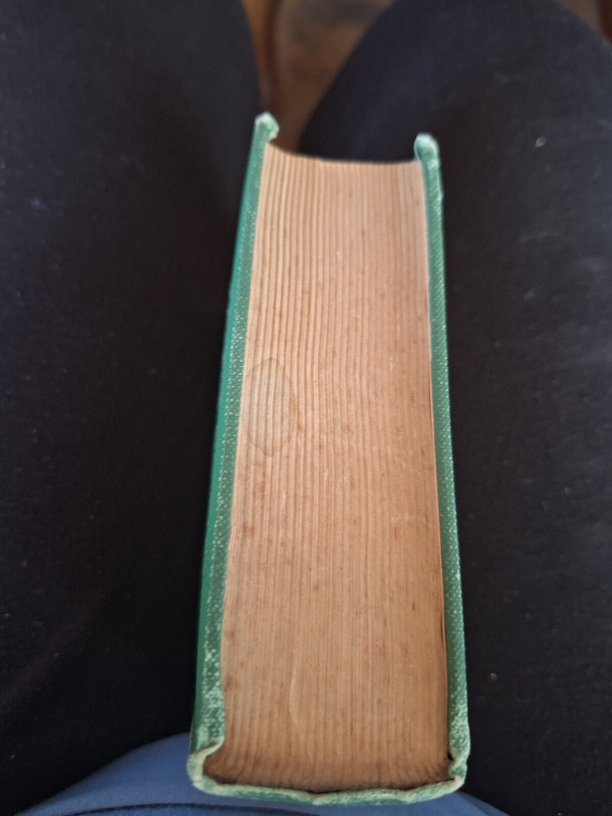 Picture 4 of 4