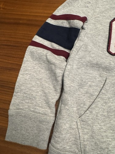 Gap Kids Gray Blue Maroon Long-Sleeve Zip Hoodie Logo Stripe Cozy Fleece Medium - Picture 3 of 8