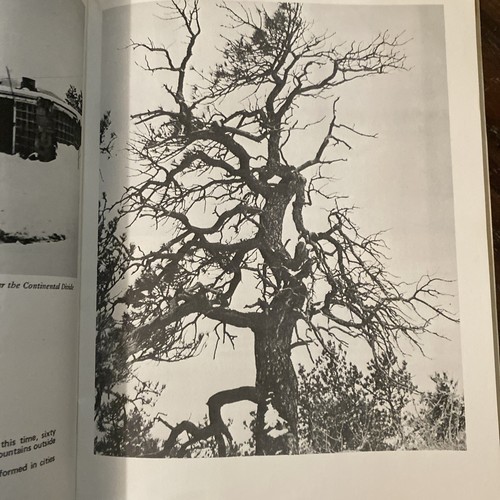 Garuda Tibetan Buddhism In America Magazine Issue 1971 Karma Dzong Tail Of Tiger - Picture 4 of 5