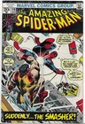 Amazing Spider-Man #116 (1972) Bronze Spidey 🔥 Spidey Sunday 🔥 NO RESERVE