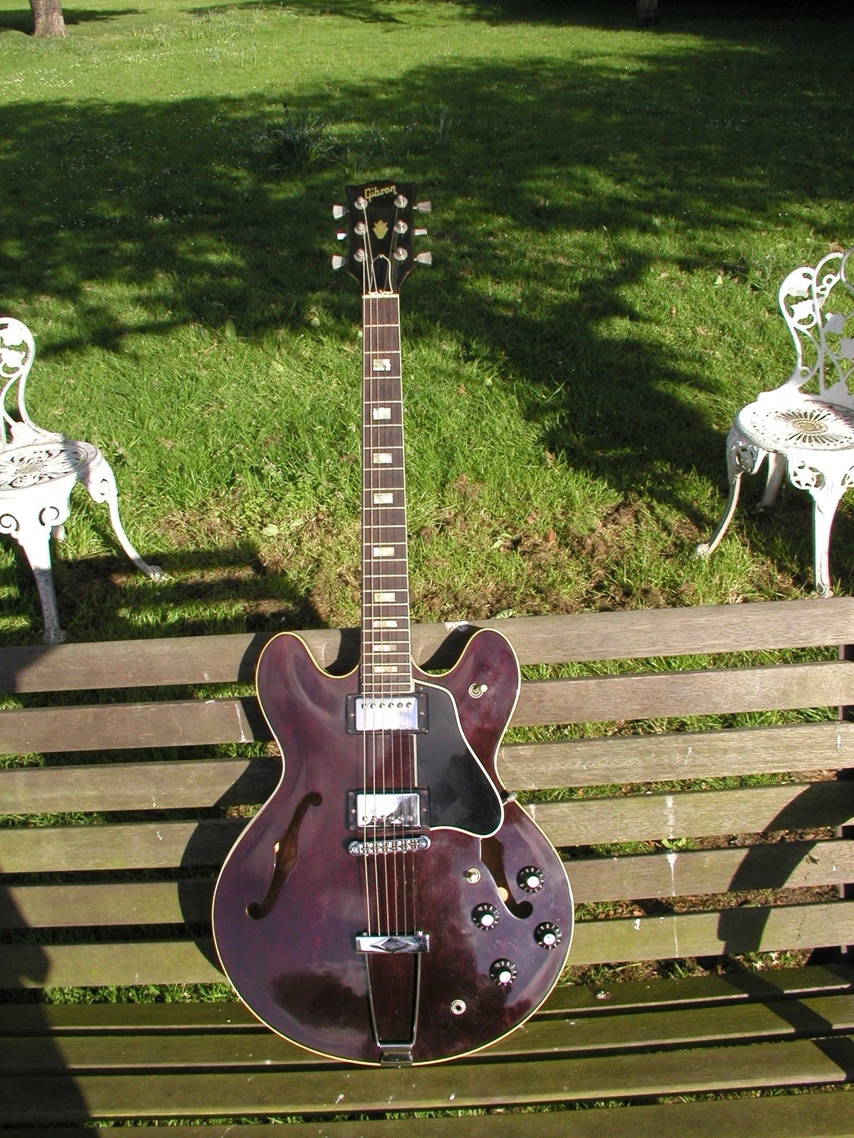 Picture 5 of 6