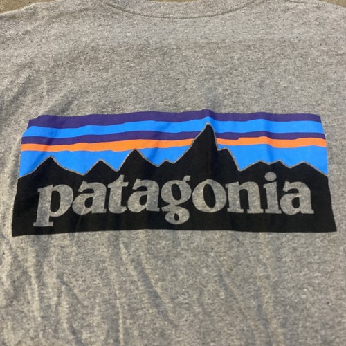 Patagonia Regular Tee  Big Logo Mens T-Shirt Size Xl  Uni Sex Gray Sunset - Picture 6 of 7