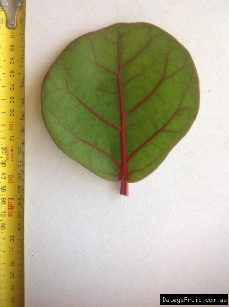 Picture 4 of 4