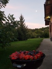 Digital Image Picture Photo Wallpaper Background Beautiful Art # 334