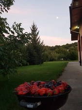 Digital Image Picture Photo Wallpaper Background Beautiful Art # 334