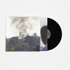 Drain Gang - Trash Island (Year0001) Vinyl 12" Album