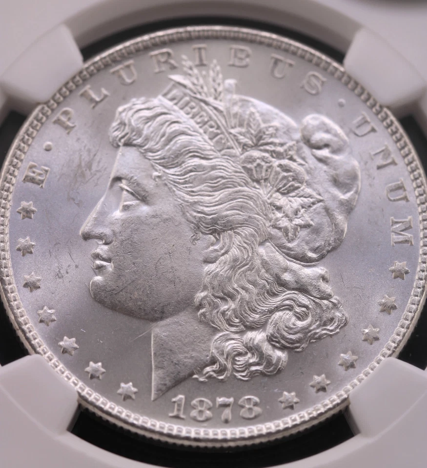 1878 7TF B1 Reverse $1 NGC MS 64 VAM- 84A "Dash 8 With E" CAC - Image 2 of 4